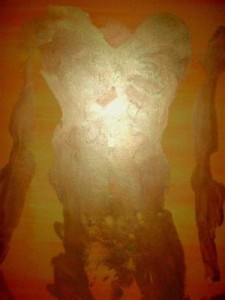 Awakening by Marco Brown