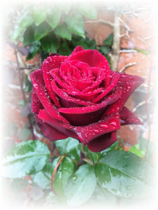 Come to be, a poem by Semele Xerri