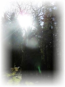 Retreat and (meno)pause