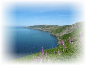 Nature's church at Loch Tyn